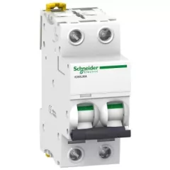   Schneider Electric, Acti9, A9F90225, Kismegszakító 2P,25A, MA karakterisztika, 10 kA Acti9 IC60LMA (Schneider A9F90225)