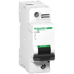   Schneider Electric Acti9 A9N18381 Kismegszakító 1P,125A, D karakterisztika, 10 kA Acti9 C120N