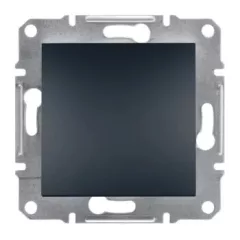   Schneider Electric Asfora EPH5600171 Vakfedél, antracit ( EPH5600171 ).