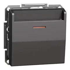   Schneider Electric Asfora EPH6200171 hotelkártya kapcsoló, antracit burkolattal. keret nélkül, süllyesztett 10A 250V ( EPH6200171 ).