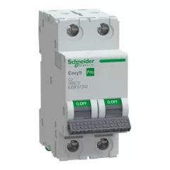   Schneider Electric EASY9 PRO EZ9F57202 Kismegszakító 2P, 2A, C karakterisztika, 6 kA
