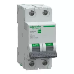   Schneider Electric EASY9 PRO EZ9F57206 Kismegszakító 2P, 6A, C karakterisztika, 6 kA (R9F14206 kiváltója)