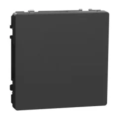   Schneider Electric Merten MEG4075-6034 vakfedél antracit, keret nélkül - System-D (D-Life / D-Antik)