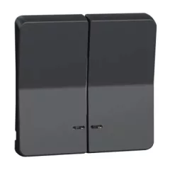   Schneider MUR34205 MUREVA Styl Kettős billentyű, jelzőfényes, antracitszürke