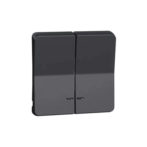 Schneider MUR34205 MUREVA Styl Kettős billentyű, jelzőfényes, antracitszürke