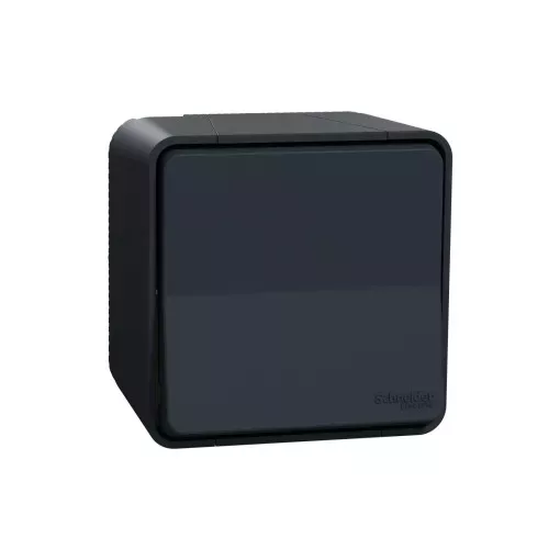 Schneider Electric Mureva Styl MUR35021 IP55 vízmentes váltókapcsoló (106), antracitszürke, komplett szerelvény, falon kívüli, vízmentes (IP55) 10A 250 ( MUR35021 ).