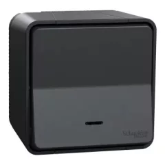   Schneider Electric Mureva Styl MUR35024 IP55 vízmentes váltókapcsoló (106), antracitszürke, komplett szerelvény, falon kívüli, vízmentes (IP55), jelzőfénnyel 10A 250 ( MUR35024 ).