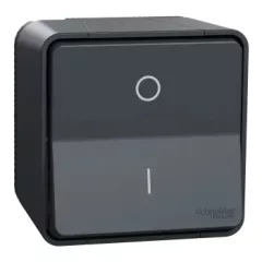   Schneider Electric Mureva Styl MUR35033 IP55 vízmentes kétpólusú kapcsoló (102), antracitszürke, komplett szerelvény, falon kívüli, vízmentes (IP55) 10A 250 ( MUR35033 ).