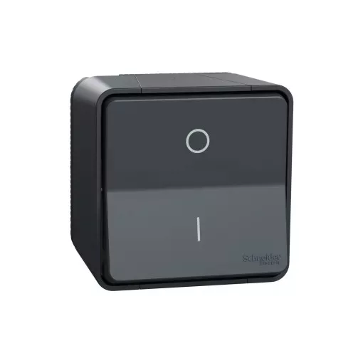 Schneider Electric Mureva Styl MUR35033 IP55 vízmentes kétpólusú kapcsoló (102), antracitszürke, komplett szerelvény, falon kívüli, vízmentes (IP55) 10A 250 ( MUR35033 ).