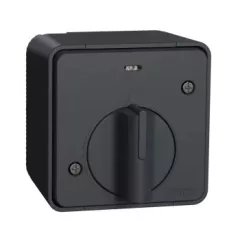   Schneider Electric Mureva Styl MUR35067 IP55 vízmentes mechanikus időkapcsoló, antracitszürke, komplett szerelvény, falon kívüli, vízmentes (IP55) 10A 250 ( MUR35067 ).