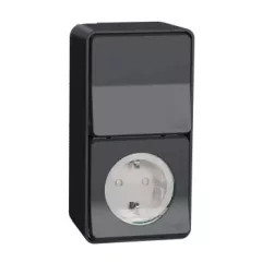   Schneider Electric Mureva Styl MUR36024 IP55 vízmentes kombináció, földelt csatlakozóaljzat (dugalj) 2P+F + váltókapcsoló (106), antracitszürke, komplett szerelvény, falon kívüli, vízmentes (IP55) 10A 250 ( MUR36024 ).