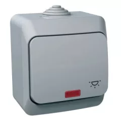   Schneider Electric Cedar Plus WDE000616 IP44 vízmentes egypólusú nyomó (N101), szürke, komplett szerelvény, falon kívüli, lámpajellel, jelzőfénnyel, vízmentes (IP44) 16A 250V ( WDE000616 ).