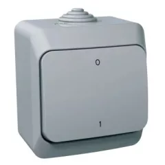   Schneider Electric Cedar Plus WDE000620 IP44 vízmentes kétpólusú kapcsoló (102), szürke, komplett szerelvény, falon kívüli, vízmentes (IP44) 16A 250V ( WDE000620 ).