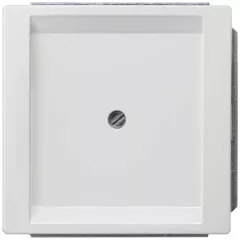   Siemens Delta Style 5TG13301, 5TG1330-1 vakfedél platina, Delta Style ( 5TG13301, 5TG1330-1)