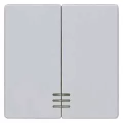   Siemens Delta i-system 5TG6244 2-es billentyű világítóablakkal alumínium, Delta i-system ( 5TG6244)