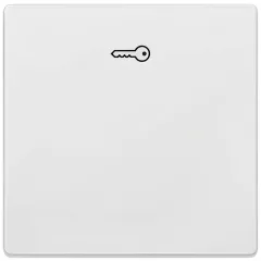   Siemens Delta Style 5TG71481 1-es billentyű kulcs jellel platina, Delta Style ( 5TG71481, 5TG7148-1)