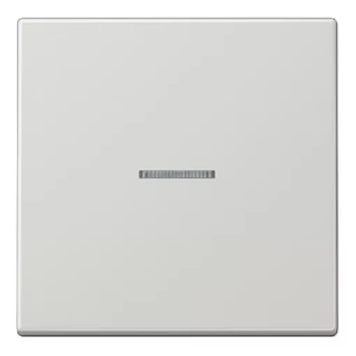 JUNG LS101KO5LG KNX ellenőrző billenőkapcsoló F10 sorozat LS | 1-csatornás | világosszürke