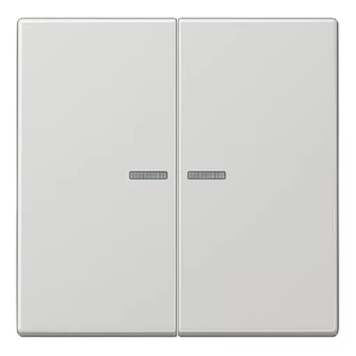 JUNG LS102KO5LG KNX vezérlőbillenő F10 széria LS | 2-es | világosszürke