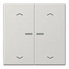   JUNG LS102KO5PLG KNX vezérlőbillenő nyíl szimbólummal LS sorozat | 2-fold | világosszürke