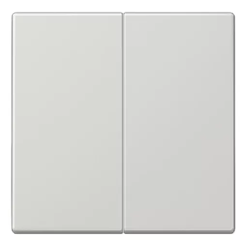 JUNG LS102LG KNX billenőkapcsoló F10 széria LS | 2-fach | világosszürke