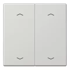   JUNG LS102PLG KNX billenőkapcsoló nyílszimbólummal F10 széria LS | 2-csatornás | világosszürke