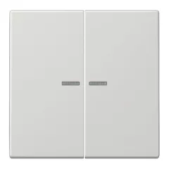   JUNG LS10921STRFLG KNX-RF tapintásérzékelő LS | 2-csatornás | világosszürke