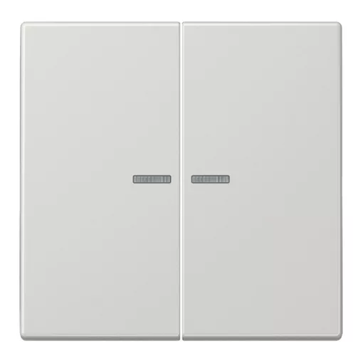 JUNG LS10921STRFLG KNX-RF tapintásérzékelő LS | 2-csatornás | világosszürke