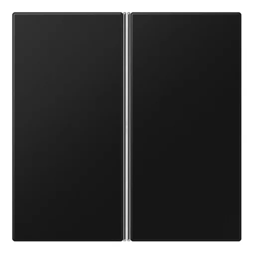 JUNG LS402TSASWM Tastensatz F40 LS sorozat | 2-fach | grafitfekete matt