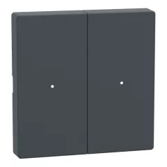  SCHNEIDER MTN625214 Billenő a System M tastermodulhoz | 2-fach | antracit