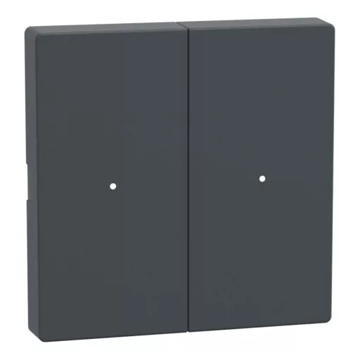 SCHNEIDER MTN625214 Billenő a System M tastermodulhoz | 2-fach | antracit