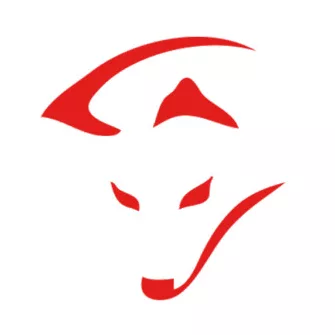 SMARTFOX